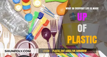 Unseen Everywhere: Plastic's Surprising Presence in Daily Essentials