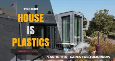 Plastics in Our Homes: A Hidden Danger