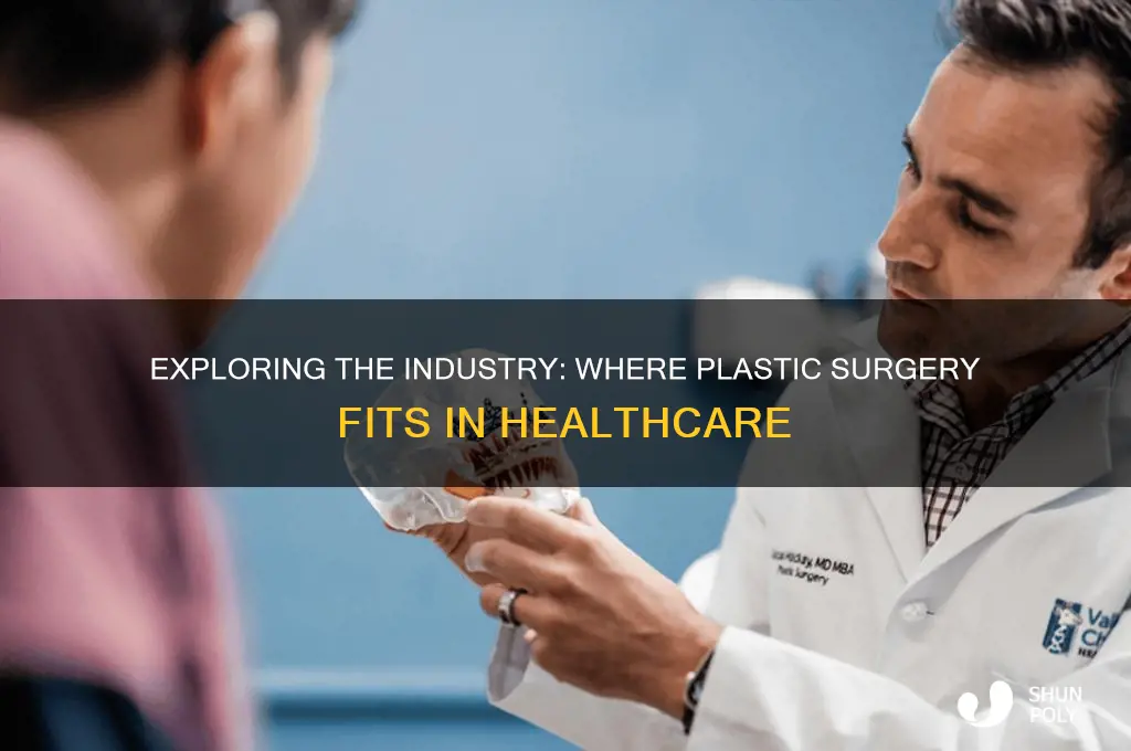 what industry is plastic surgery in