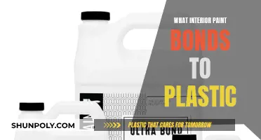 Best Interior Paints for Plastic: Ultimate Bonding Experience