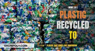 Recycling Plastic: A New Life for Old Bottles