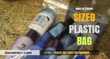 Understanding the Uses and Dimensions of a Quart-Sized Plastic Bag