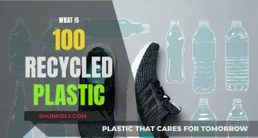 The Green Promise: Understanding 100% Recycled Plastic