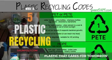 How 5 Plastic Recycling is Changing the World