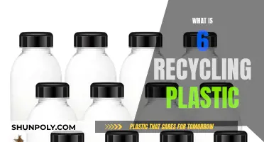 Understanding Plastic Recycling: The Significance of Type 6 Plastics