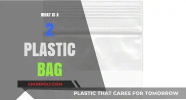 Understanding the Uses and Recycling of Plastic 2 Bags