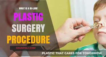 Understanding Bi-Lobe Plastic Surgery: Procedure, Benefits, and Recovery Explained