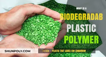The Future of Plastics: Biodegradable Polymer Science