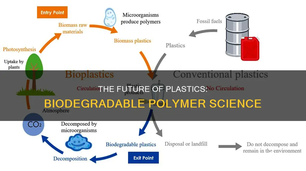 what is a biodegradable plastic polymer