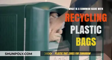 Recycling Plastic Bags: A Persistent Problem with Simple Solutions