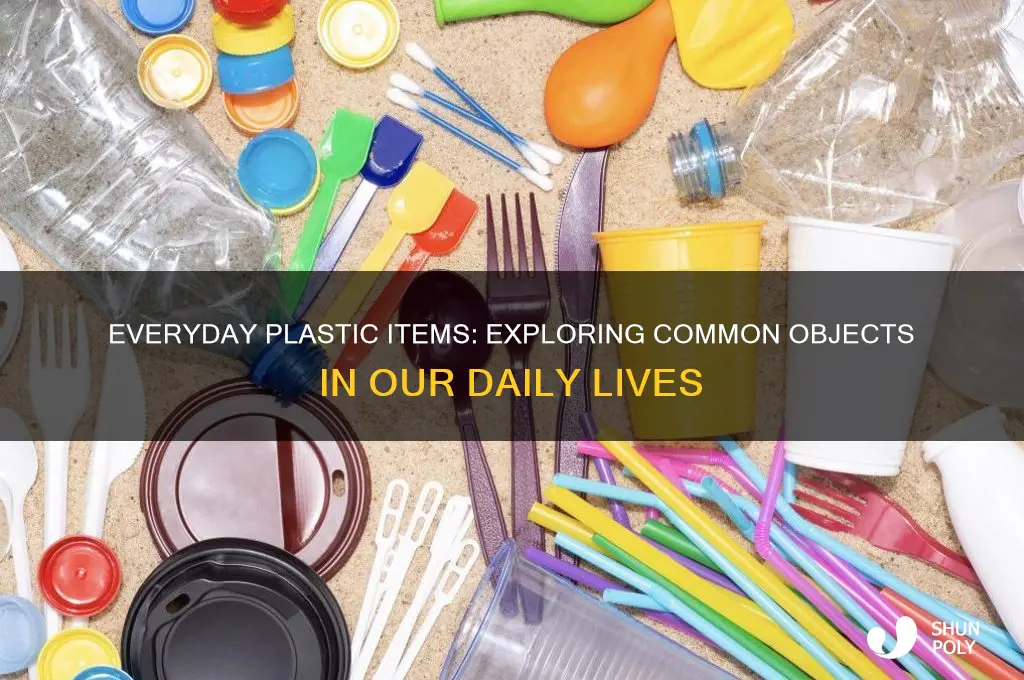 what is a common object made of plastic