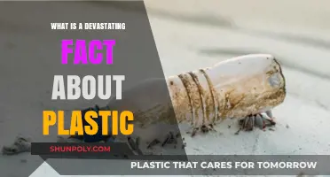 Plastic's Devastating Impact: A Global Catastrophe
