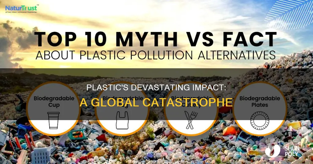 what is a devastating fact about plastic