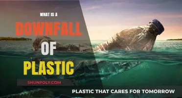 Plastic's Dark Side: An Environmental Disaster