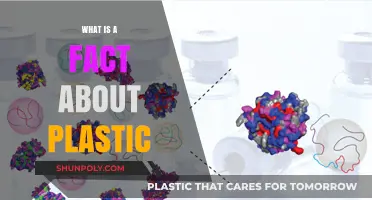 The Dark Side of Plastic: Its Permanence