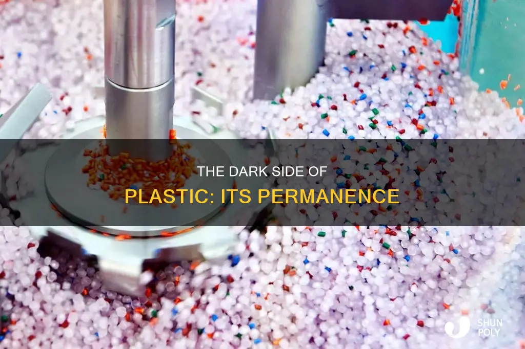 what is a fact about plastic