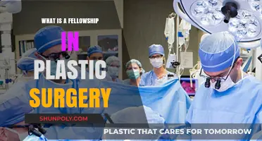 Understanding Plastic Surgery Fellowships: Career Path and Opportunities