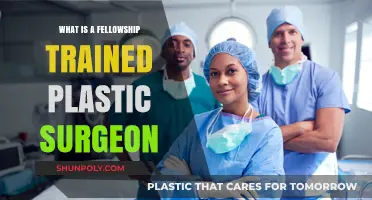 Understanding Fellowship-Trained Plastic Surgeons: Expertise, Training, and Benefits