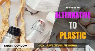 Green Alternatives to Plastic: Sustainable Solutions