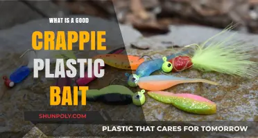 Best Crappie Plastic Baits: Catch More Fish