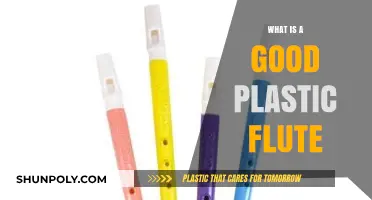 Best Plastic Flute Options for Beginners