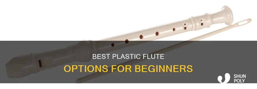 what is a good plastic flute