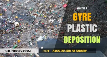 Gyres: Plastic Deposition in Our Oceans