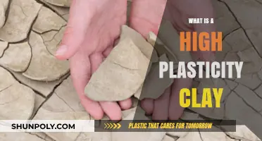 The Magic of High-Plasticity Clays: Transforming Artistry