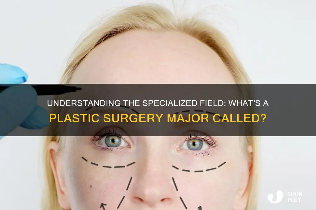 what is a major in plastic surgery called