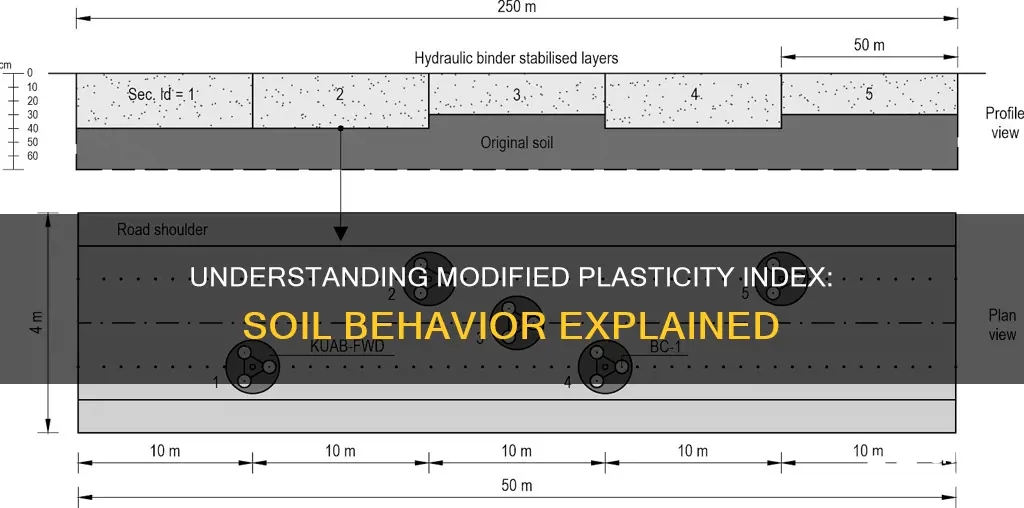 what is a modified plasticity index