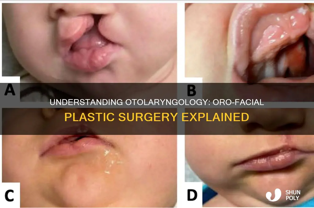 what is a otolaryngology oro-facial plastic surgery