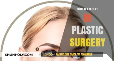 Understanding Pet Lift: A Unique Plastic Surgery Procedure Explained