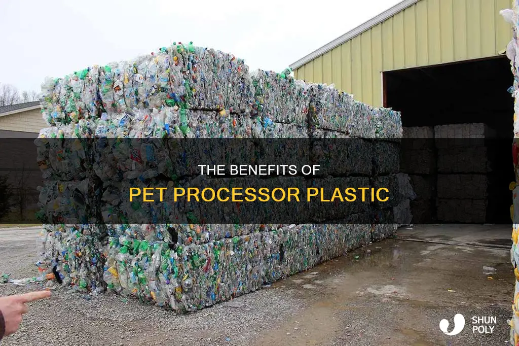 what is a pet processor plastic