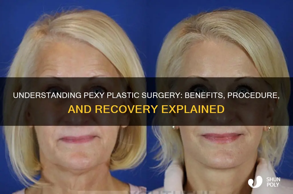 what is a pexy plastic surgery