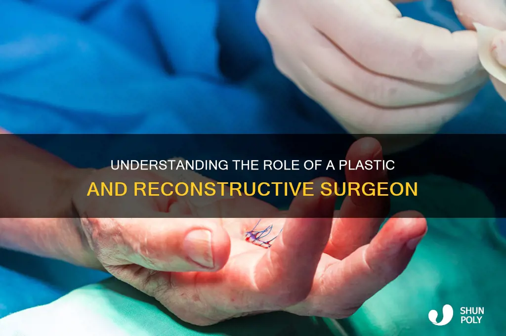 what is a plastic and reconstructive surgeon