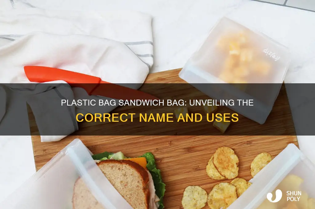 what is a plastic bag sandwich bag called