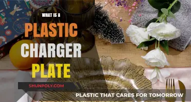 Charger Plates: Plastic Tableware for Special Occasions