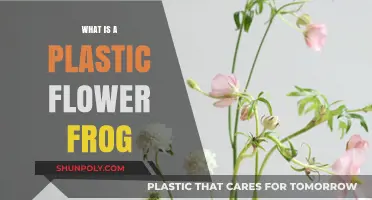 Plastic Flower Frogs: A Guide to Their Use and History