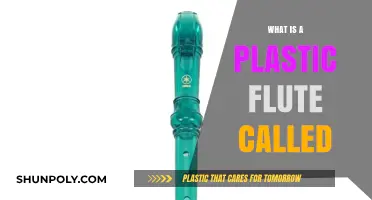 The Plastic Flute: What's in a Name?