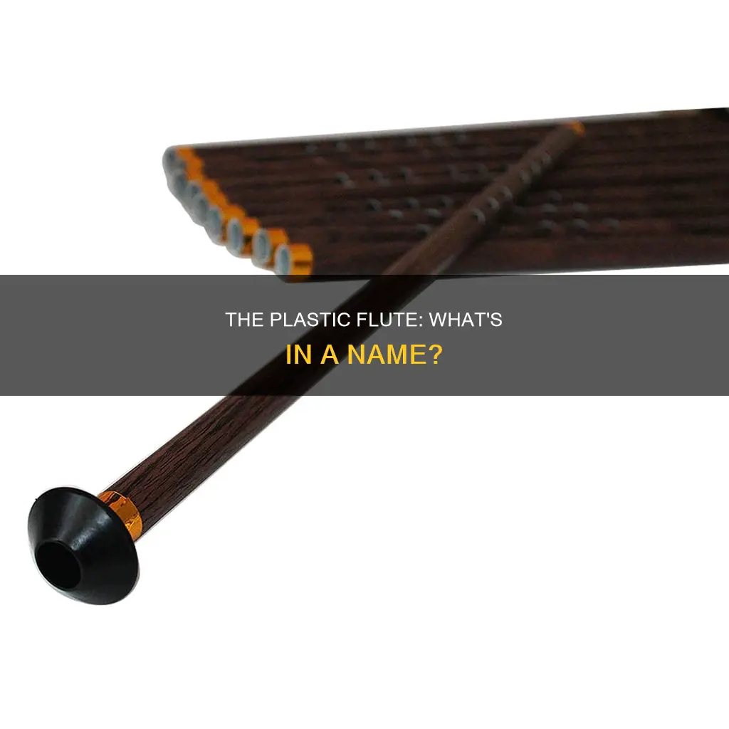 what is a plastic flute called
