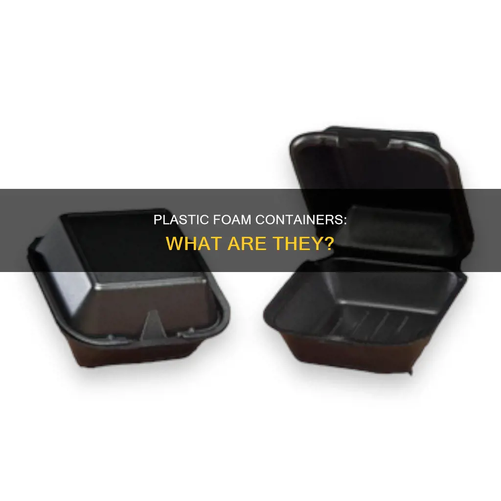 what is a plastic foam container