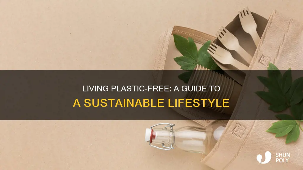 what is a plastic free lifestyle