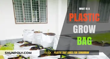 Understanding Plastic Grow Bags: Benefits, Uses, and Gardening Applications