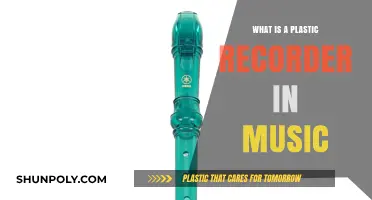 Plastic Recorder: Music's Beginner-Friendly Instrument
