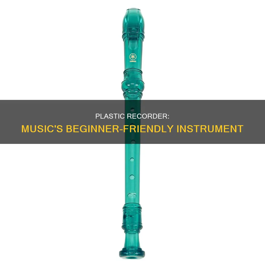 what is a plastic recorder in music