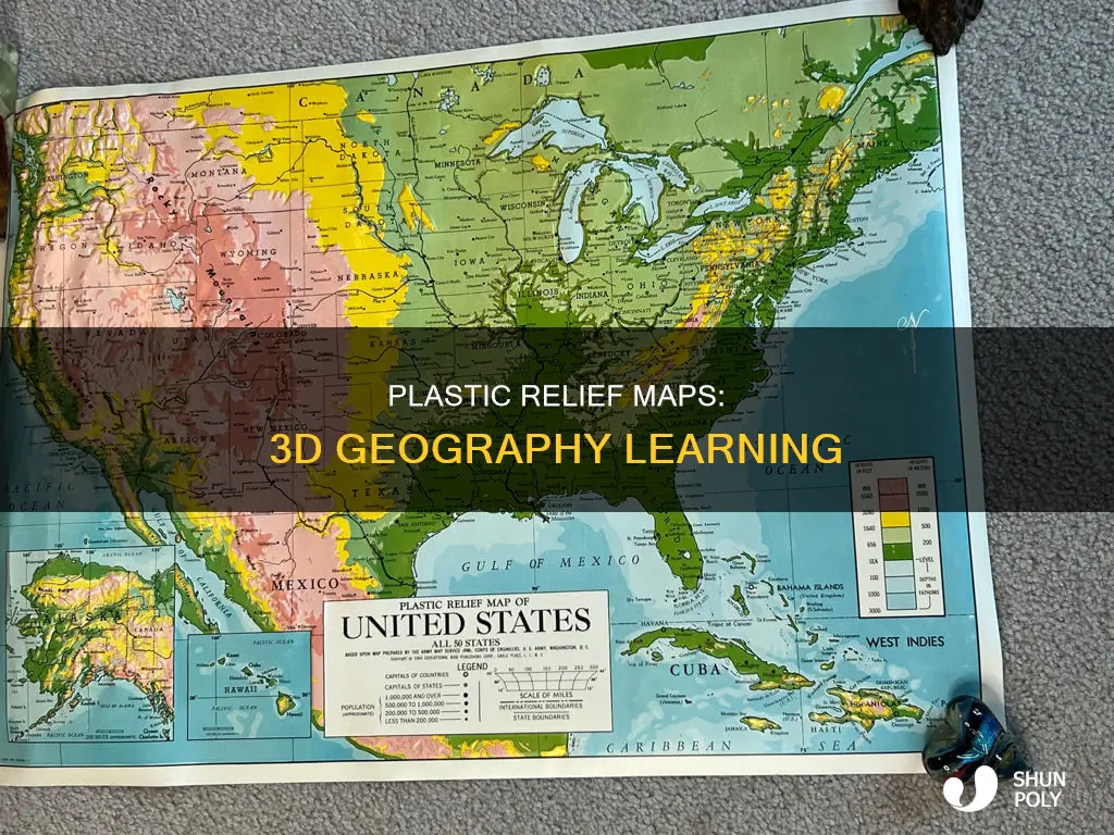 what is a plastic relief map