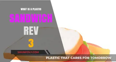 Sandwich Technology: Plastic Revolution