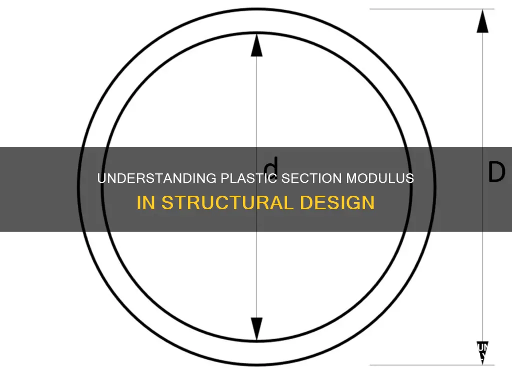 what is a plastic section modulus