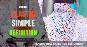 Plastic: A Simple Definition and Explanation