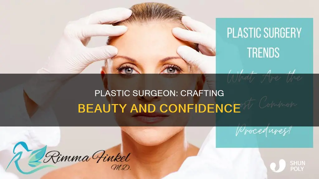 what is a plastic surgeaon description